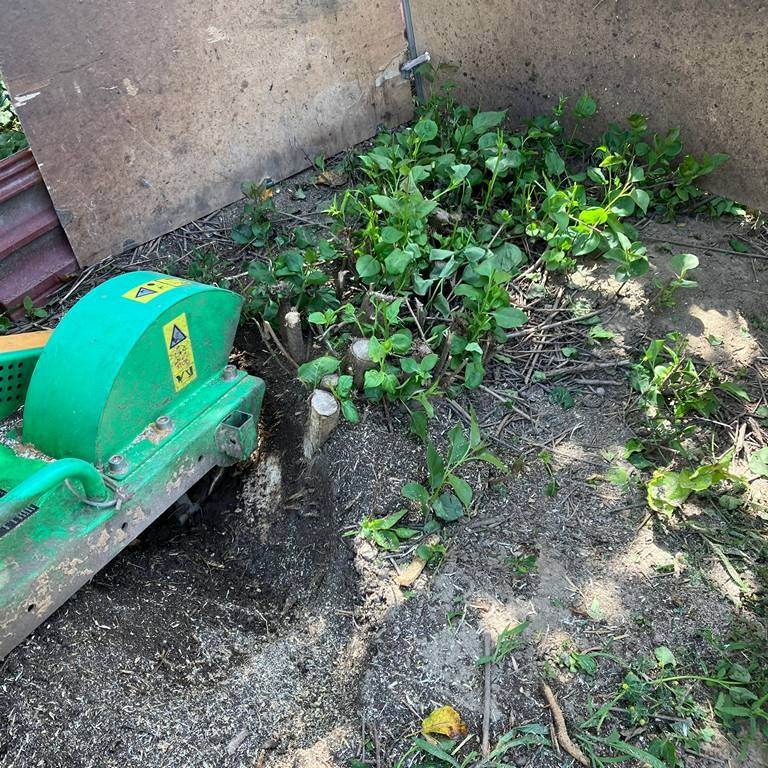 tuskómarás tuskómaróval