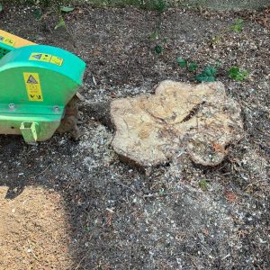 Kézi tuskómarás kezdete