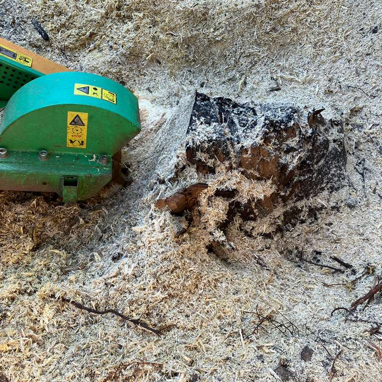 Tuskó eltávolítás közben