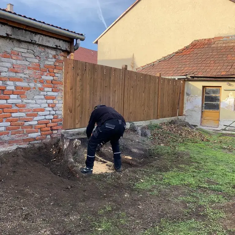 Tuskómarás előkészület