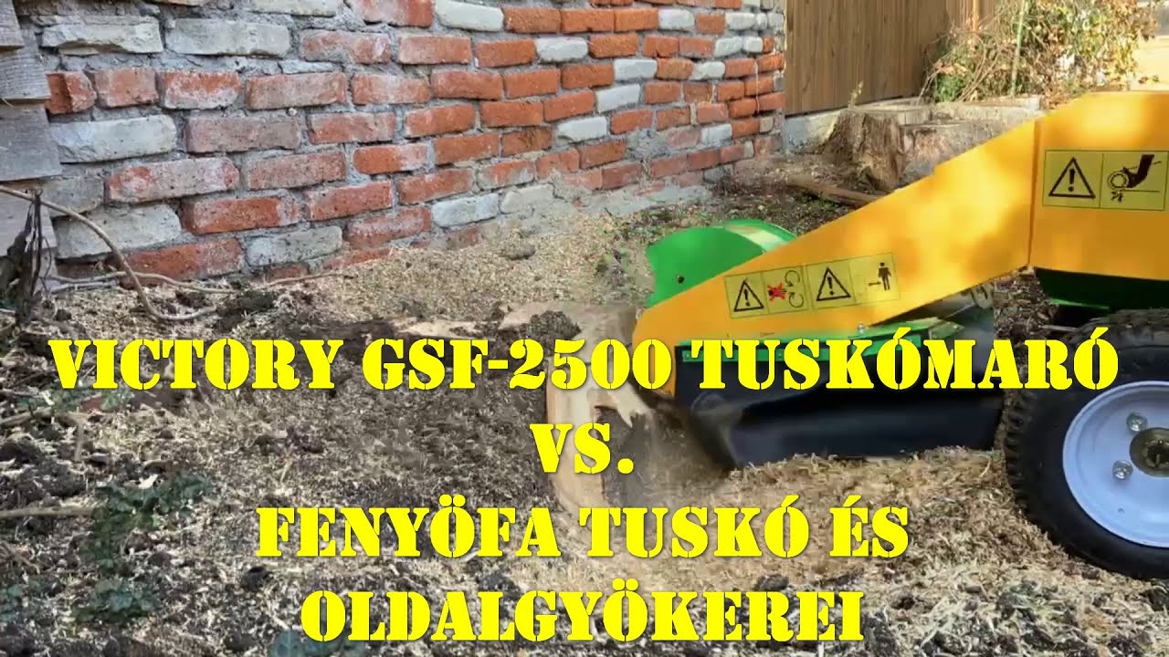 Fenyőfa tuskó és oldalgyökérzet eltávolítás