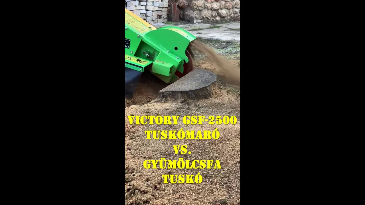 Gyümölcsfa tuskó eltávolítása