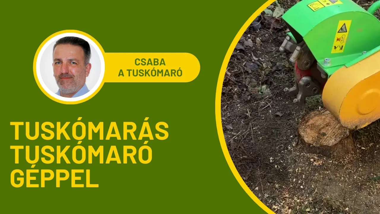 Tuskó eltávolítás gépi tuskómarással